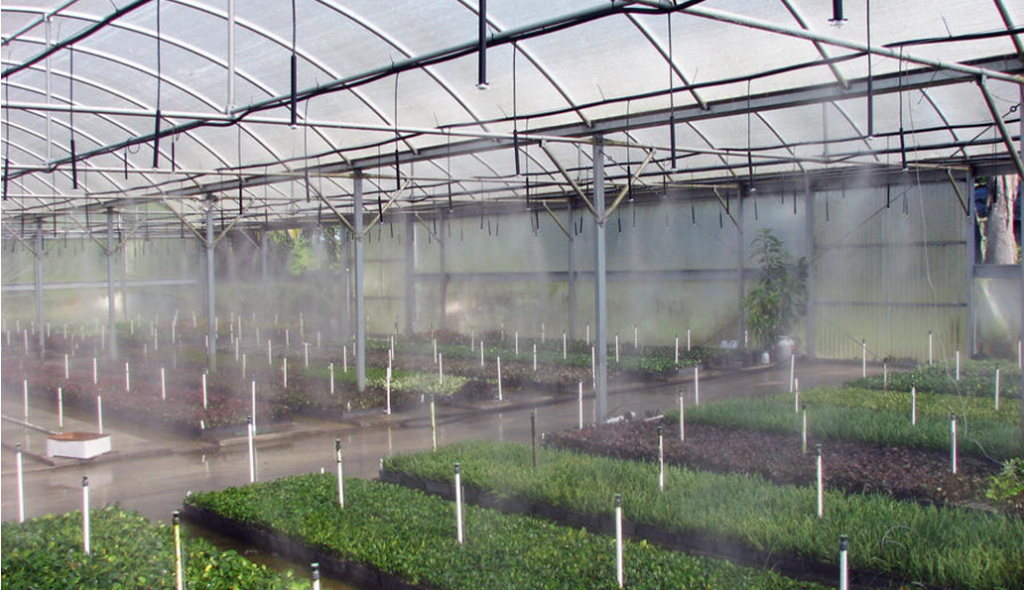 راهنمای جامع انتخاب مه‌پاش برای گلخانه‌ها